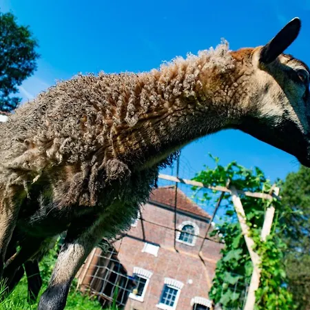 Apartmán Stayhome *