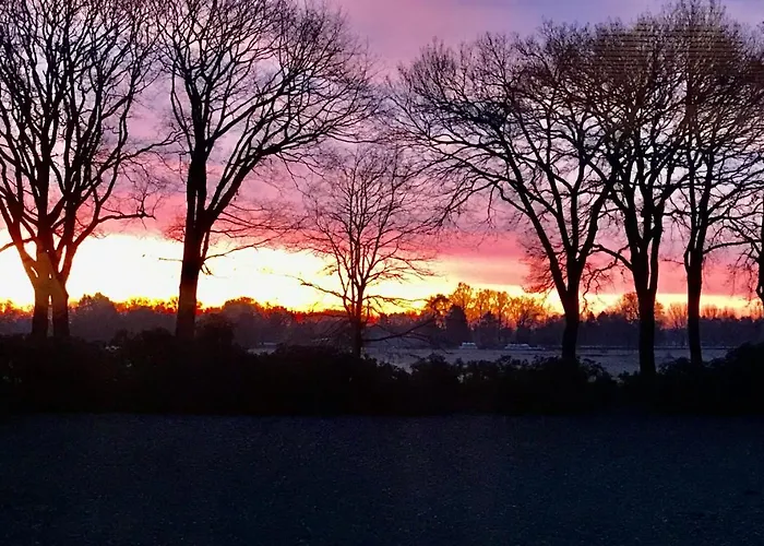 Stayhome * 바르엘