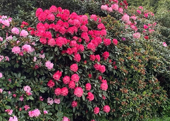 Stayhome 아파트 바르엘