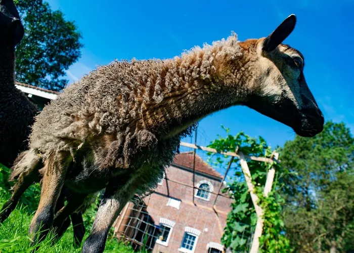 아파트 Stayhome *