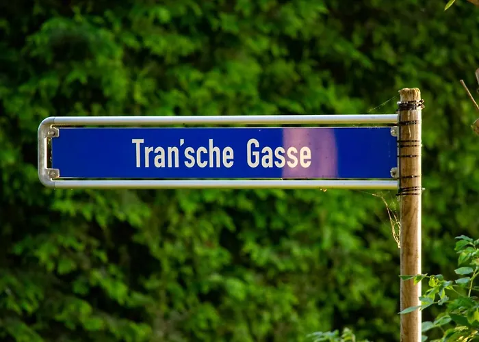 Stayhome * 바르엘